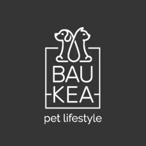 Baukea